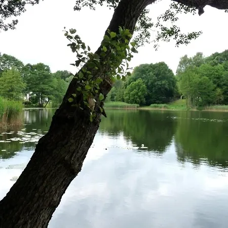 Beim Stechlinsee Stechlin